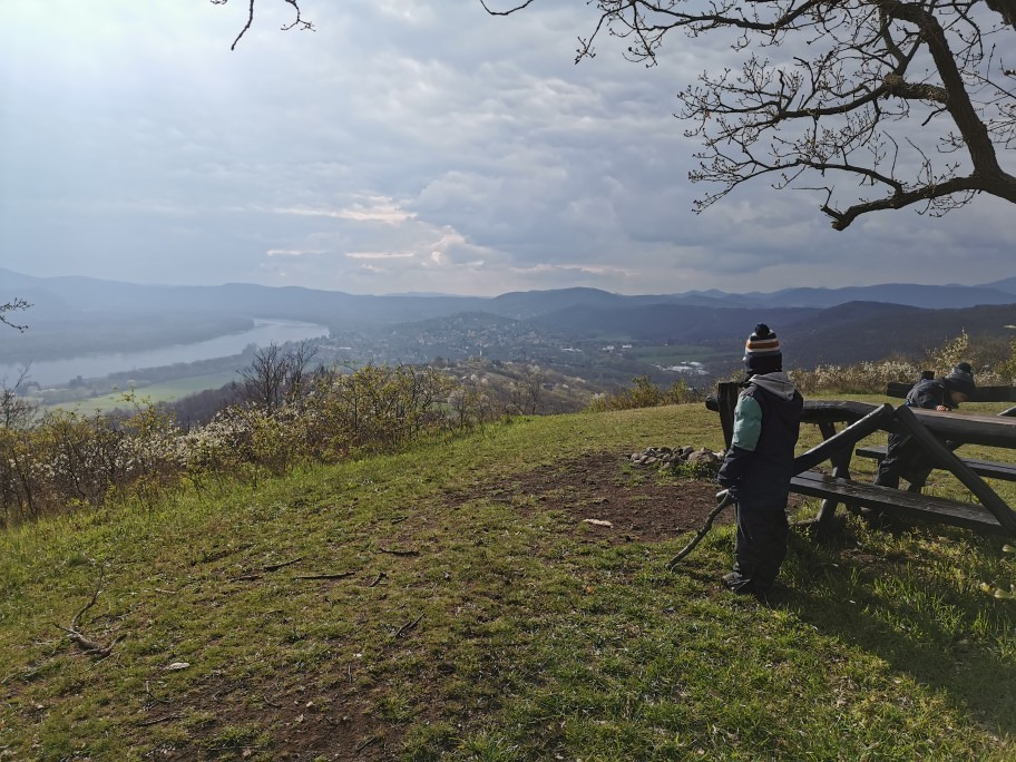 Szendehely