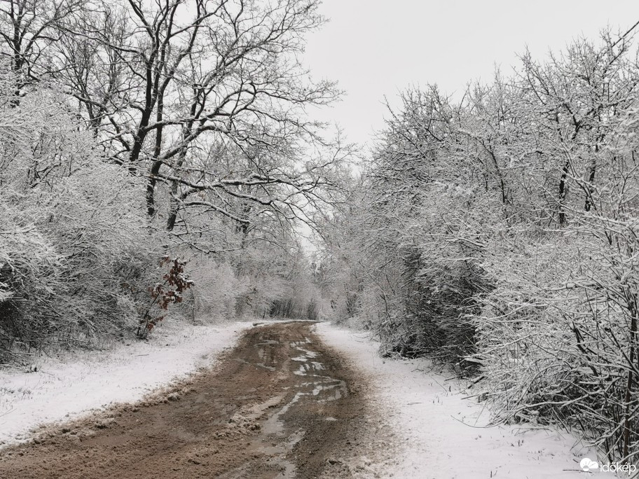 Vác