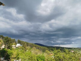 Vác-Nyulas
