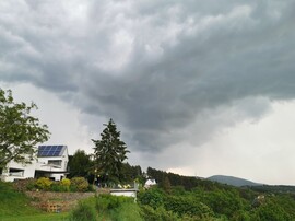 Vác-Nyulas
