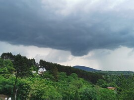 Vác-Nyulas