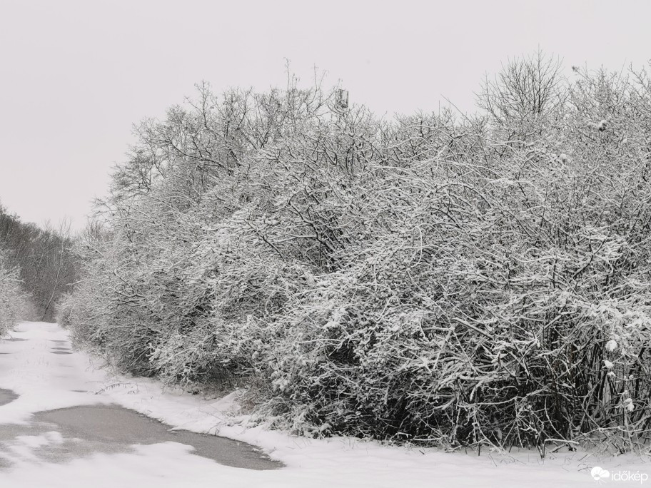 Vác