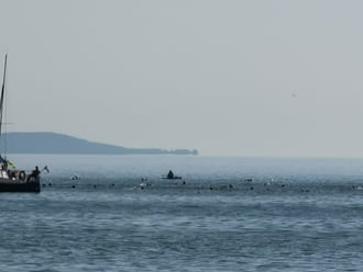 Balatonboglár