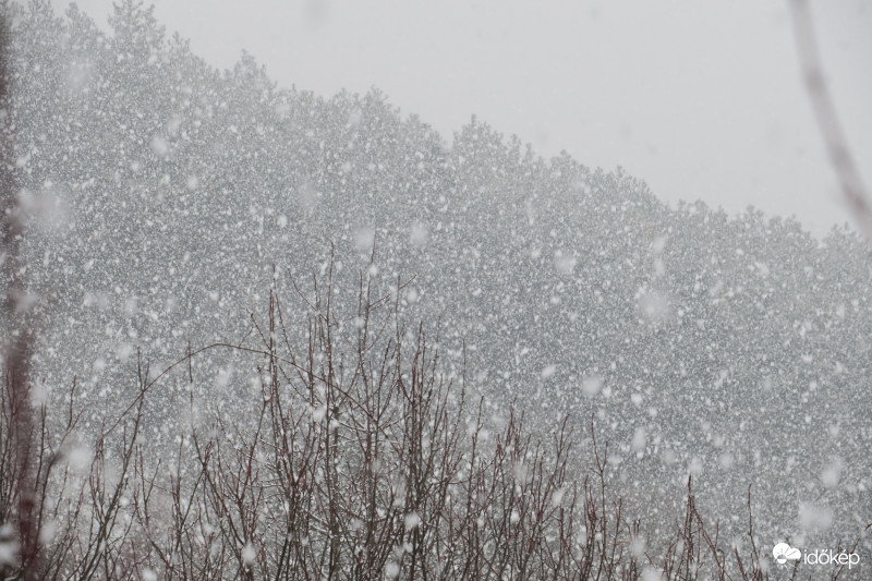 Intenzív havazás 5 cm-es pehely mérettel