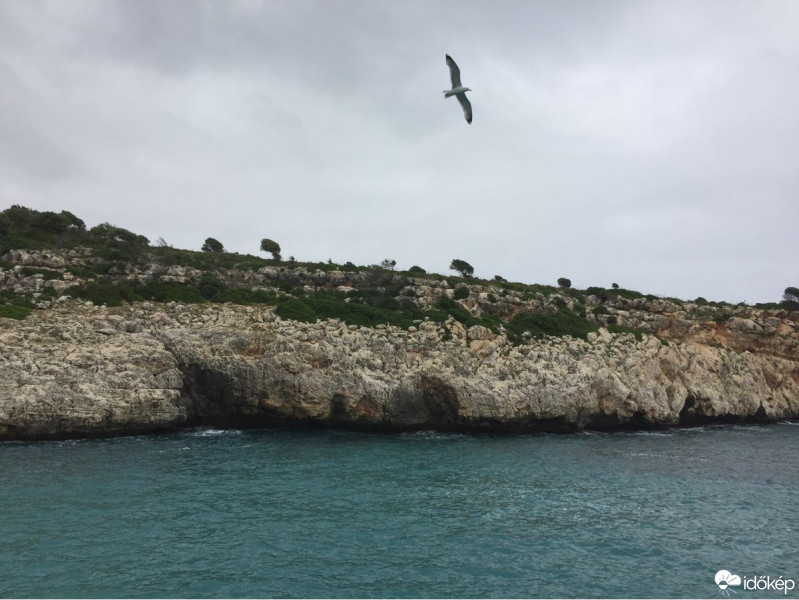 Cales de Mallorca