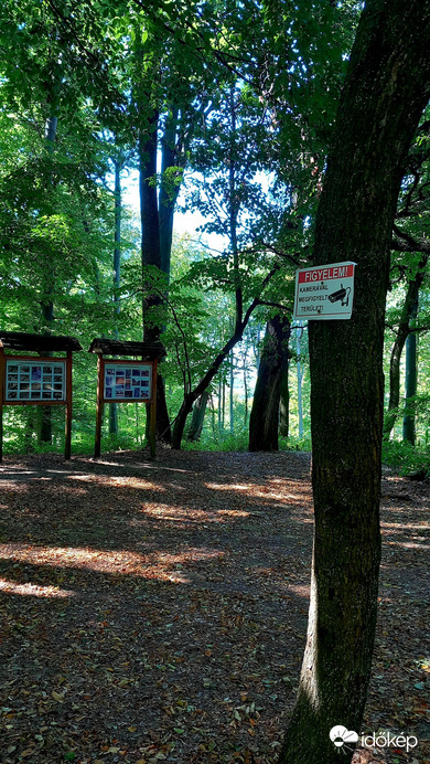 Dr.Hegyi Imre emlékpark