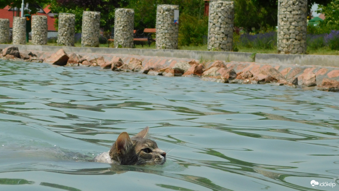 Balaton