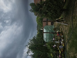 Arló