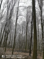 Hárskút