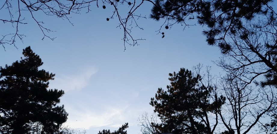 Budapest XII.ker - Széchenyi-hegy