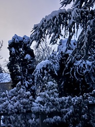 Budapest III.ker - Csillaghegy