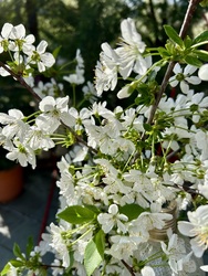 marybertim fotója