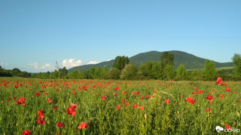 Felsőtárkány