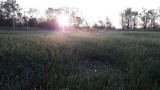 Sződliget