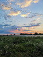 Sajópetri