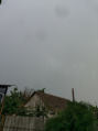 Borș