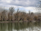 Dunaegyháza