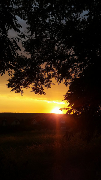 Naplemente, Hévíz mögött.