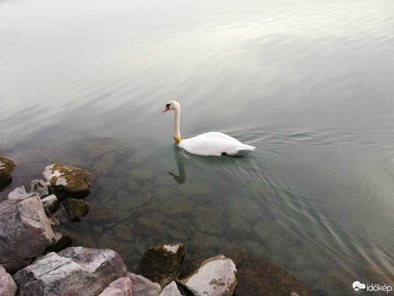 Balatonfűzfő