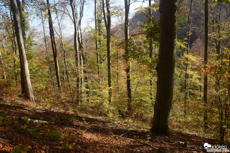 Őszi Bükk III.