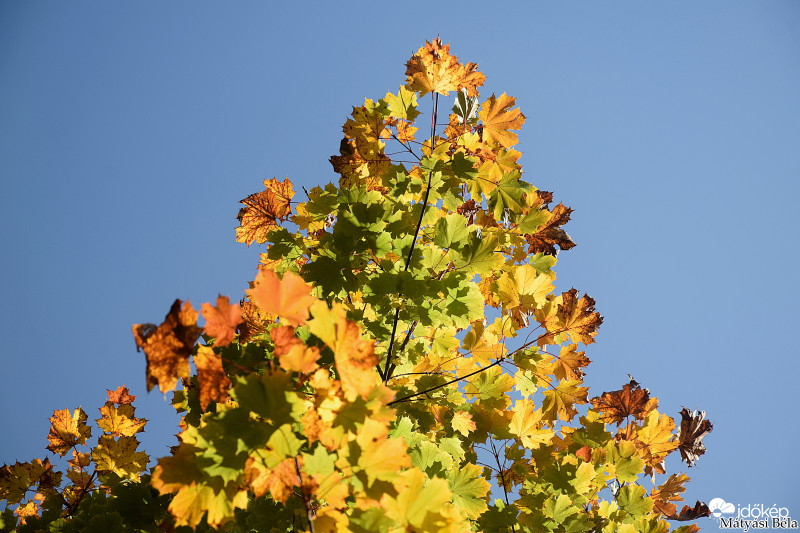 Ősz Színei.