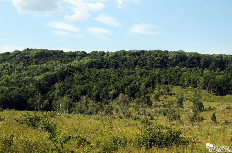 Bükkben VIII.