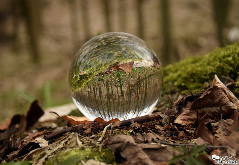 Lensball - Bükkben..