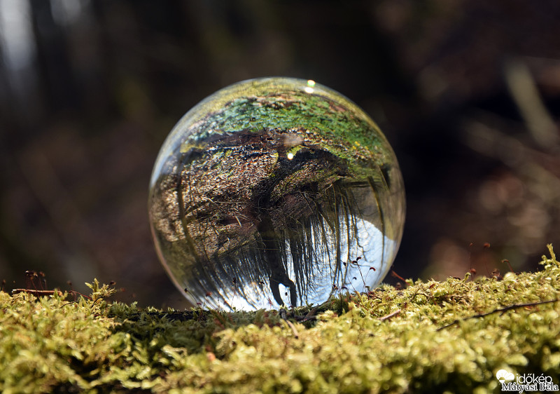 Lensball - Bükkben..