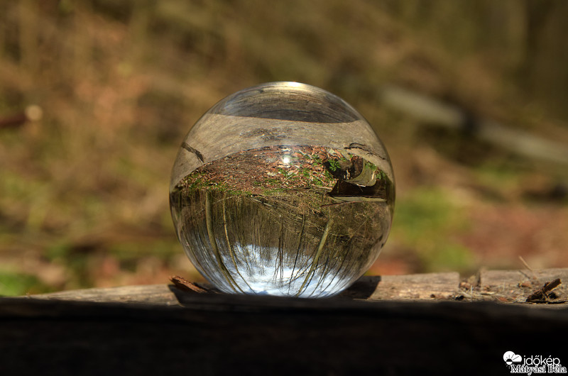 Lensball - Bükkben..