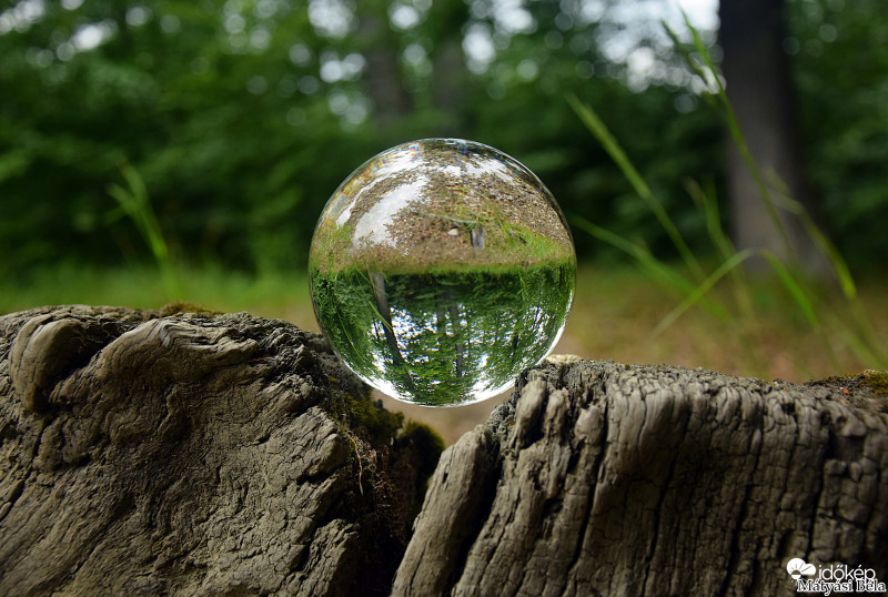 Lensball - Bükkben..