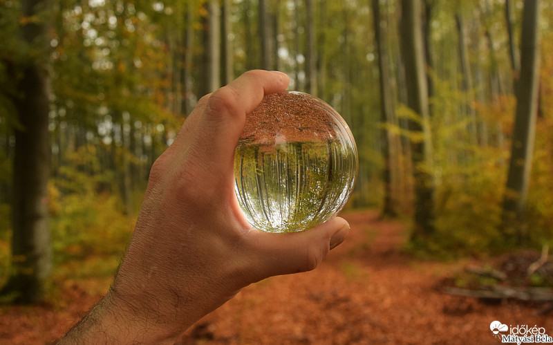 Lensball - Bükkben°°