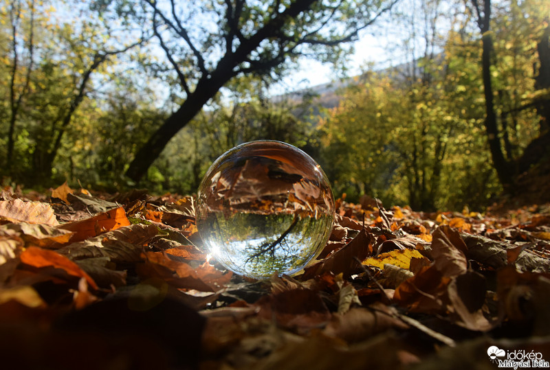 Lensball - Bükkben I.