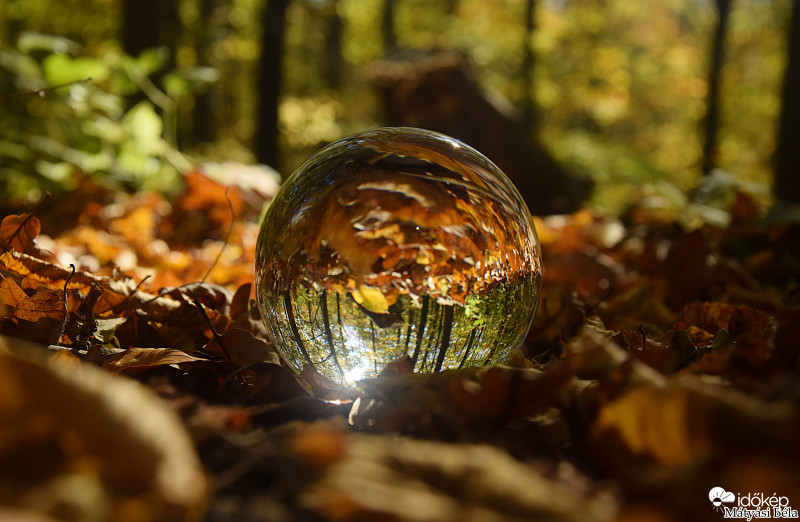 Lensball - Bükkben II.