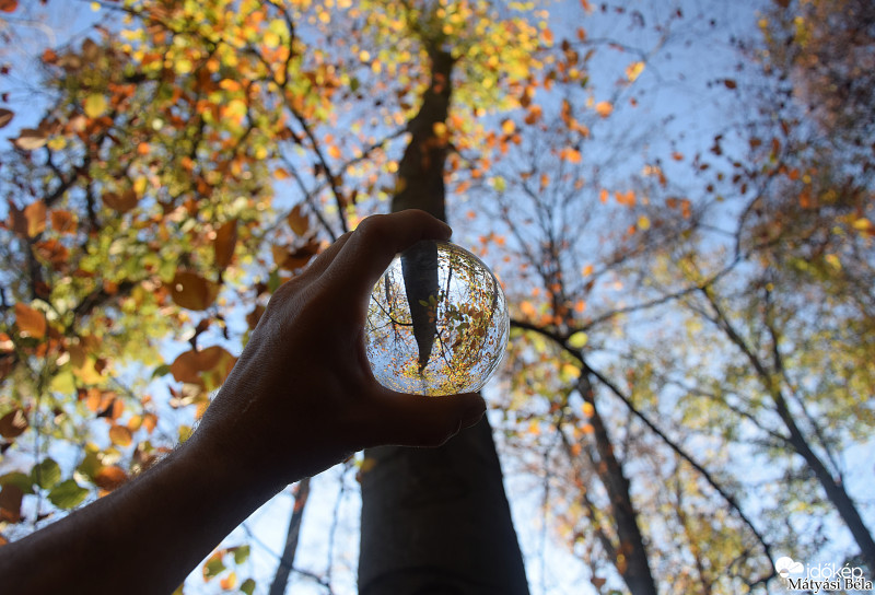 Lensball - Bükkben III.
