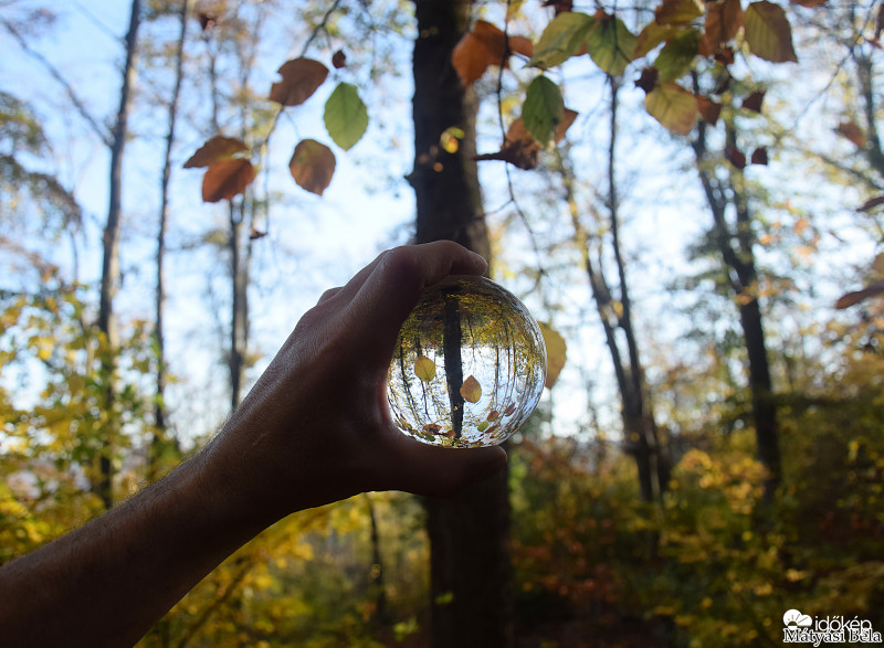 Lensball - Bükkben V.