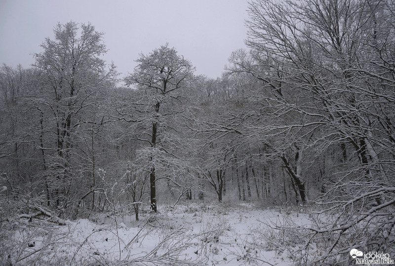 Téli Bükk IV.