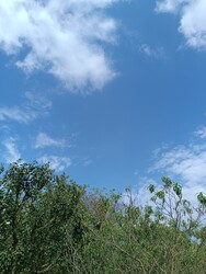 Kislőd