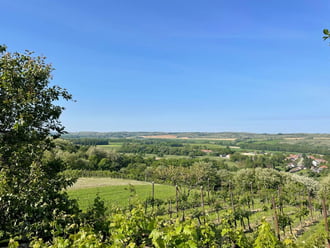Pusztaszentlászló