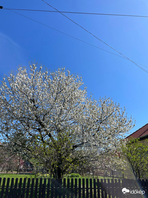 Pusztaszentlászló