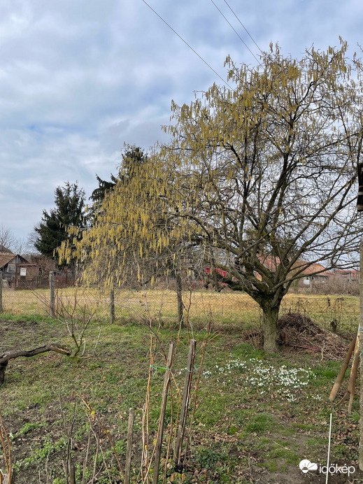 Pusztaszentlászló