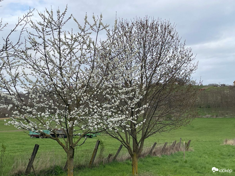 Észlelési fényképek