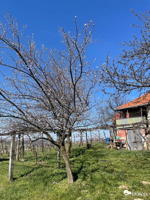 Pusztaszentlászló