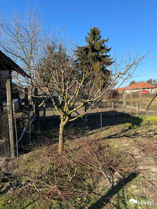Pusztaszentlászló