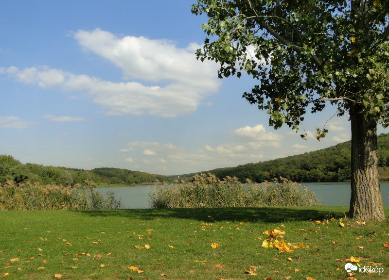 Szálka