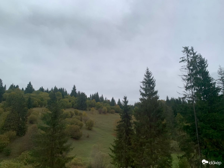 Izvoru Mureșului