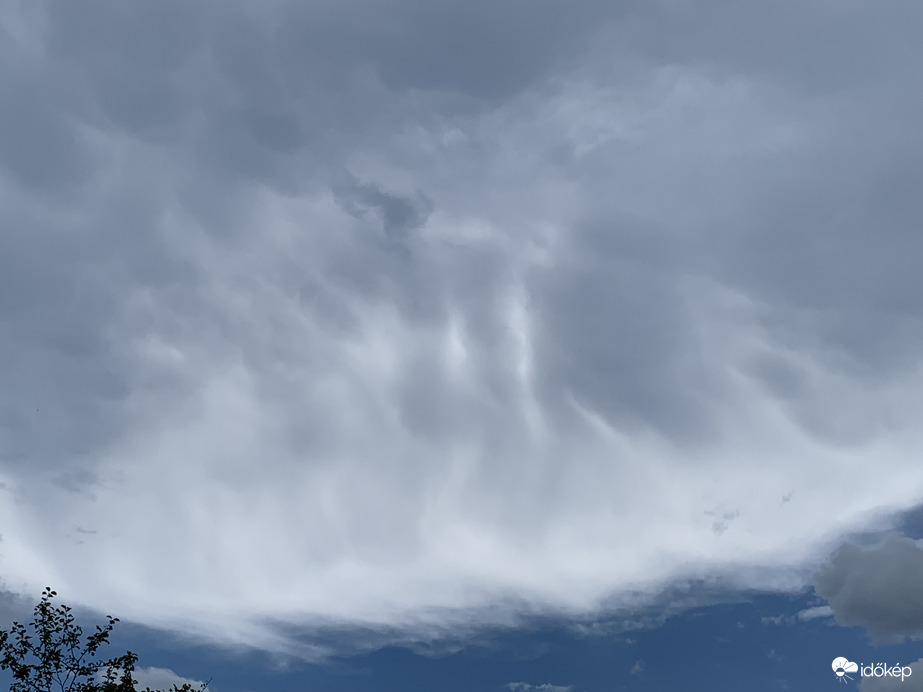 Mammatus 