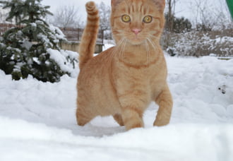 Aki még nem látott ilyet