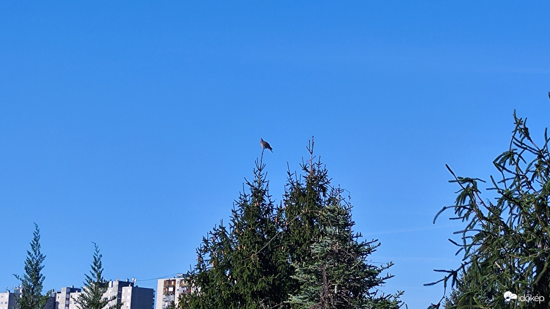 Miskolc