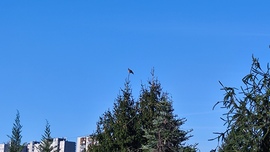 Miskolc