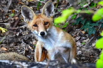 Szép hetet Mindenkinek! :) 